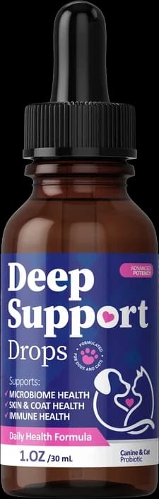 1 Bottle